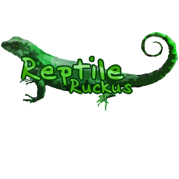 Reptile Ruckus